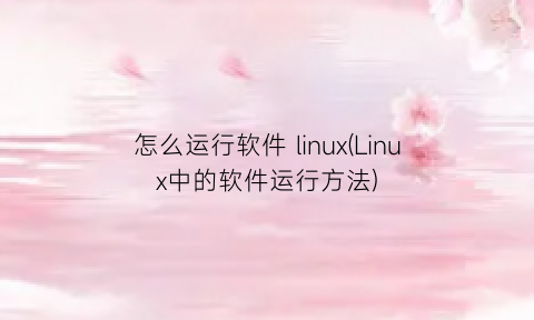 怎么运行软件linux(Linux中的软件运行方法)